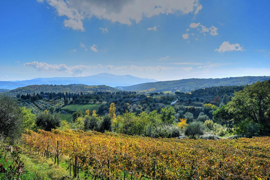Agriturismo Fraschetta Монтальчино Екстер'єр фото