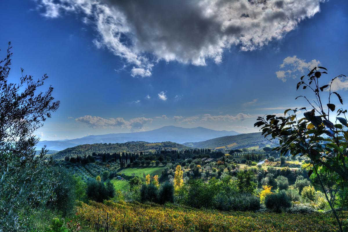 Agriturismo Fraschetta Монтальчино Екстер'єр фото